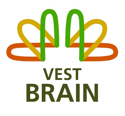 VEST-BRAIN
