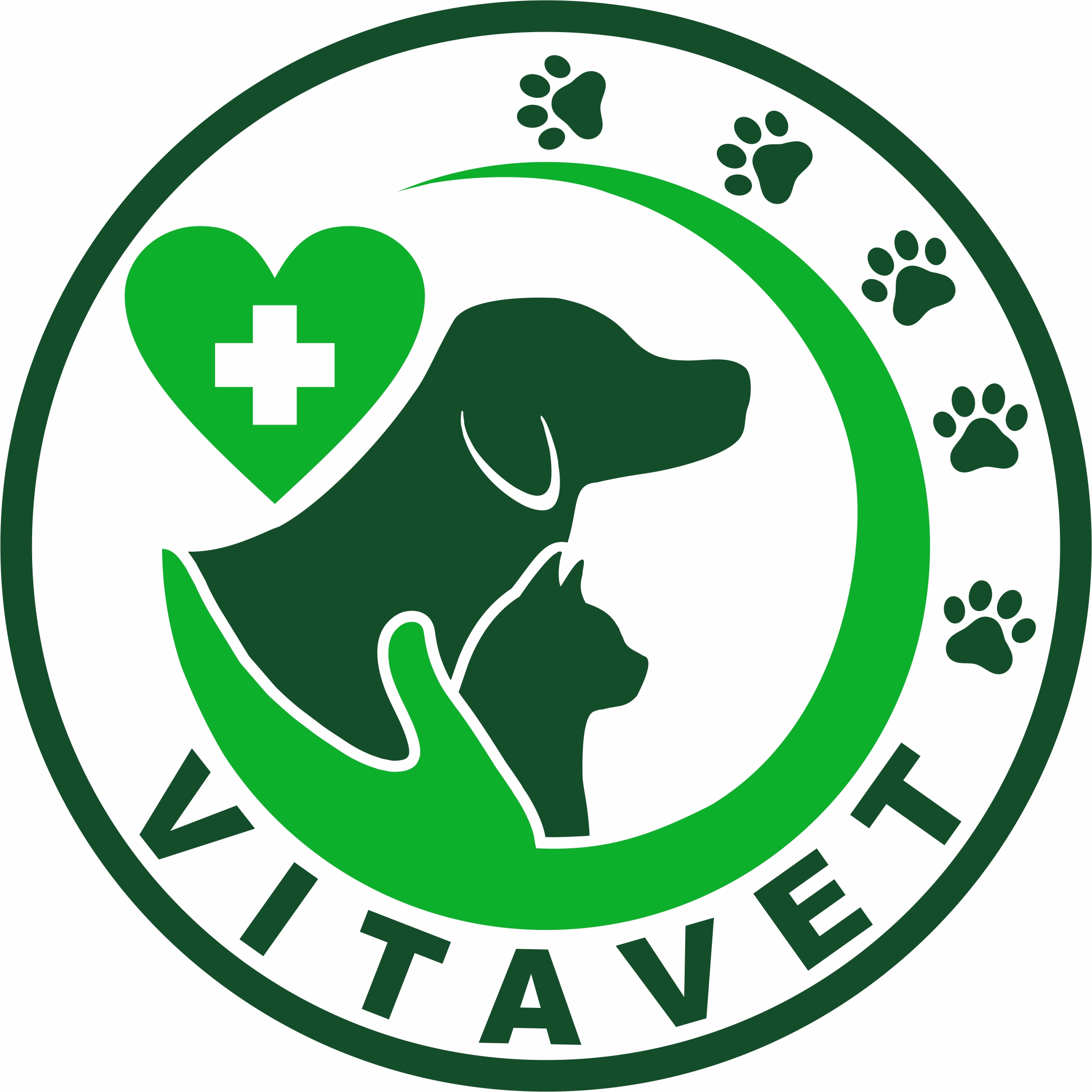 Clinica Veterinaria VitaVet